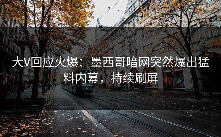 大V回应火爆：墨西哥暗网突然爆出猛料内幕，持续刷屏
