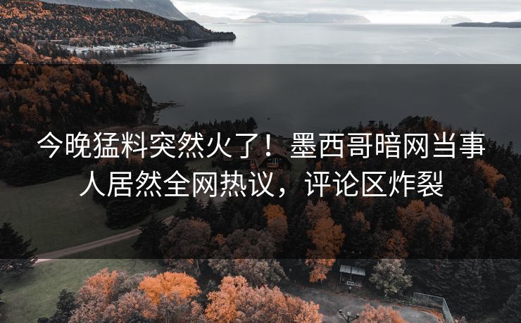 今晚猛料突然火了！墨西哥暗网当事人居然全网热议，评论区炸裂