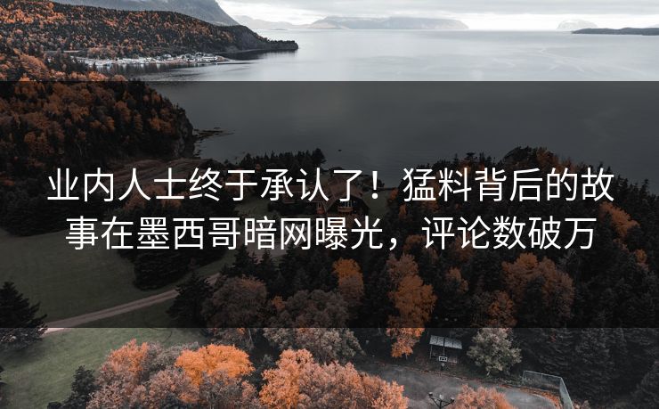 业内人士终于承认了！猛料背后的故事在墨西哥暗网曝光，评论数破万