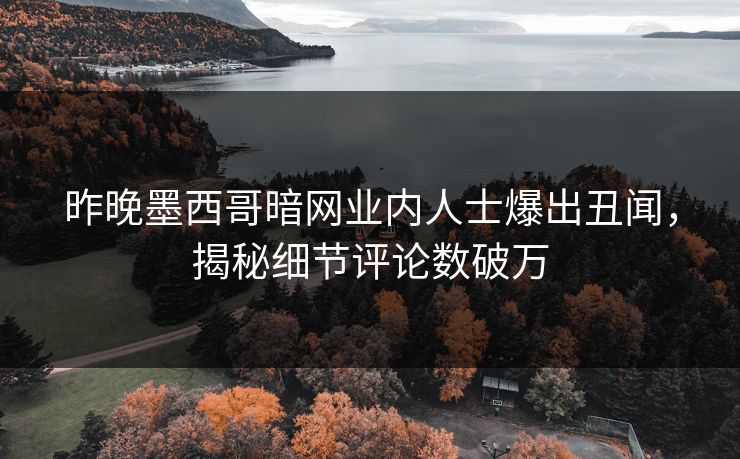 昨晚墨西哥暗网业内人士爆出丑闻，揭秘细节评论数破万