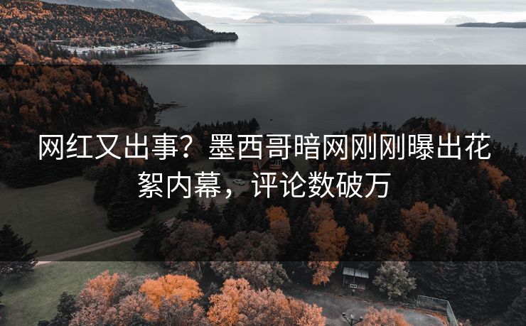 网红又出事？墨西哥暗网刚刚曝出花絮内幕，评论数破万