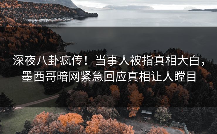 深夜八卦疯传！当事人被指真相大白，墨西哥暗网紧急回应真相让人瞠目