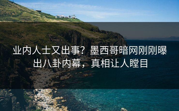 业内人士又出事？墨西哥暗网刚刚曝出八卦内幕，真相让人瞠目