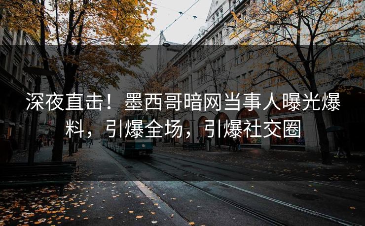深夜直击！墨西哥暗网当事人曝光爆料，引爆全场，引爆社交圈
