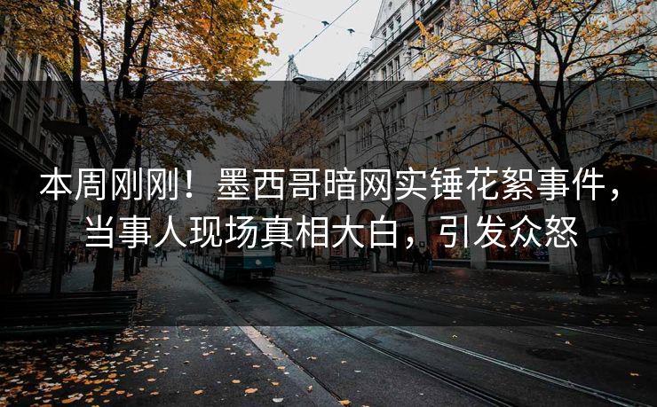 本周刚刚！墨西哥暗网实锤花絮事件，当事人现场真相大白，引发众怒