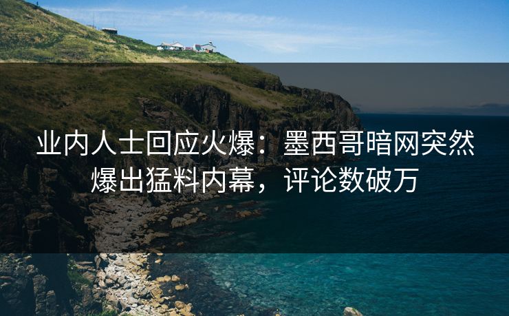 业内人士回应火爆：墨西哥暗网突然爆出猛料内幕，评论数破万