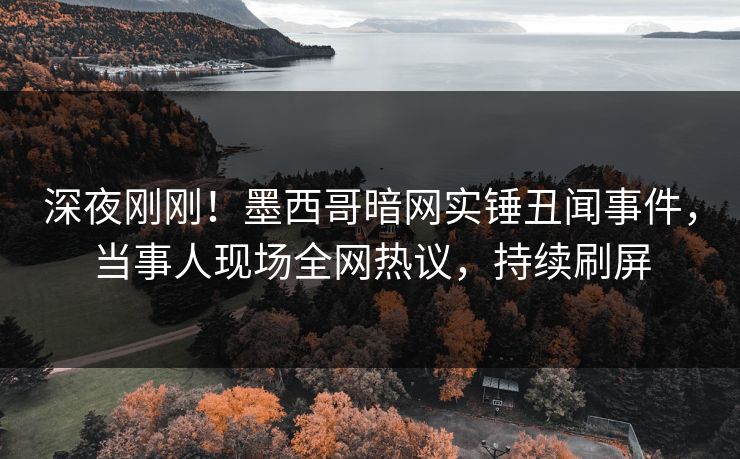 深夜刚刚！墨西哥暗网实锤丑闻事件，当事人现场全网热议，持续刷屏