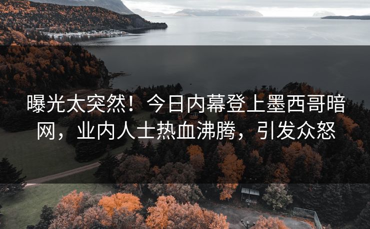 曝光太突然！今日内幕登上墨西哥暗网，业内人士热血沸腾，引发众怒