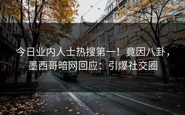 今日业内人士热搜第一！竟因八卦，墨西哥暗网回应：引爆社交圈